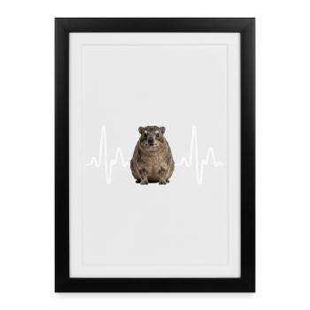 Rock Hyrax Heartbeat - Affiche encadrée (27 × 37 cm) - noir - Devant