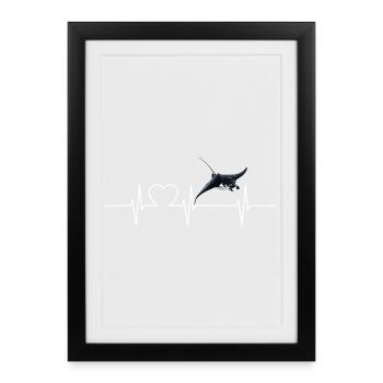 Raies Manta Raies - Affiche encadrée (27 × 37 cm) - noir - Devant