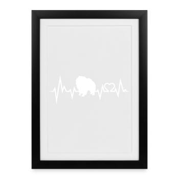 Chow Chow - Affiche encadrée (27 × 37 cm) - noir - Devant