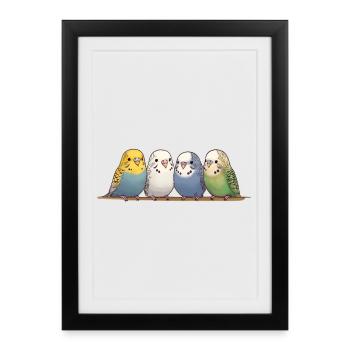 Funny budgies - Framed poster (27 × 37 cm) - black - Front