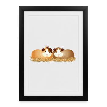 deux mignons cochons d’Inde ensemble en paille - Affiche encadrée (27 × 37 cm) - noir - Devant