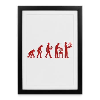 Japanese Bonsai Tree Plant Evolution Bonsai - Framed poster (27 × 37 cm) - black - Front
