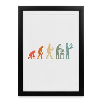 Japanese Bonsai Tree Plant Vintage Evolution - Framed poster (27 × 37 cm) - black - Front