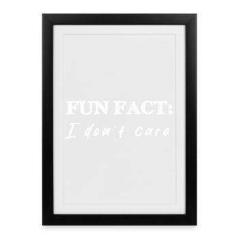 Fun fact: I don't care - funny gift idea doesn't matter - Framed poster (27 × 37 cm) - black - Front