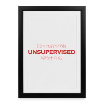 I'm currently unsupervised, be careful! Funny. - Framed poster (27 × 37 cm) - black - Front