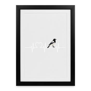Pies Magpie - Affiche encadrée (27 × 37 cm) - noir - Devant