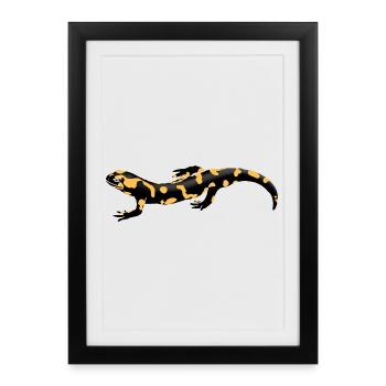 Illustration de salamandres de feu – Amphibiens autochtones - Affiche encadrée (27 × 37 cm) - noir - Devant