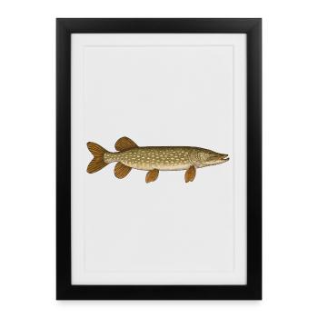 Appât à brochet Brochet Pêcheur à brochet Brochet - Affiche encadrée (27 × 37 cm) - noir - Devant
