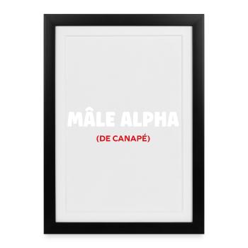 mâle Alpha - Framed poster (27 × 37 cm) - black - Front