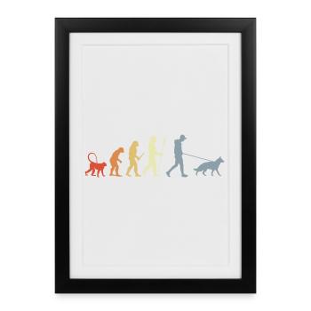 Berger allemand propriétaire Evolution - Affiche encadrée (27 × 37 cm) - noir - Devant
