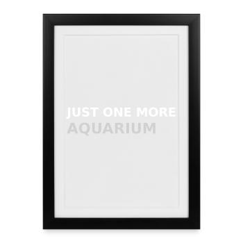 Il ne reste qu’un aquarium - Affiche encadrée (27 × 37 cm) - noir - Devant
