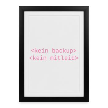 Kein Backup Kein Mitleid IT-Berater Admin - Gerahmtes Poster (27 × 37 cm) - Schwarz - Vorne