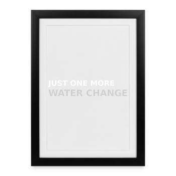 Just one more water change - Framed poster (27 × 37 cm) - black - Front