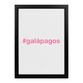 Île Galápagos - Affiche encadrée (27 × 37 cm) - noir - Devant