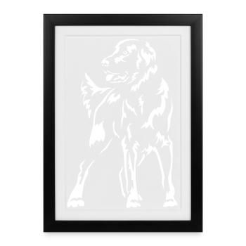 Flat-coated Retriever "Black Edition" - Gerahmtes Poster (27 × 37 cm) - Schwarz - Vorne