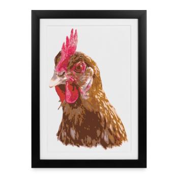 Chicken illustration vivid colors - Framed poster (27 × 37 cm) - black - Front