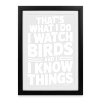 C’est ce que je fais, j’observe les oiseaux et je sais des choses - Affiche encadrée (27 × 37 cm) - noir - Devant