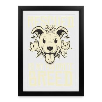 Favoris des sauvés – Ma race préférée - Affiche encadrée (27 × 37 cm) - noir - Devant