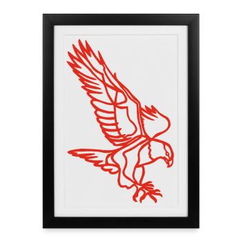 Aigle rouge en vol - Affiche encadrée (27 × 37 cm) - noir - Devant
