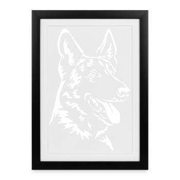 Malinois Tête « Black Edition » - Affiche encadrée (27 × 37 cm) - noir - Devant