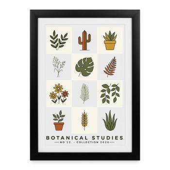 Botanical Studies Minimalistisches Pflanzendesign - Gerahmtes Poster (27 × 37 cm) - Schwarz - Vorne
