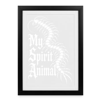 Scolopender species - Framed poster (27 × 37 cm) - black - Front