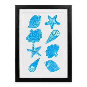 Shells and starfish - Framed poster (27 × 37 cm) - black - Front