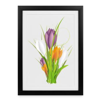 crocus délicats et brillants au printemps - Affiche encadrée (27 × 37 cm) - noir - Devant