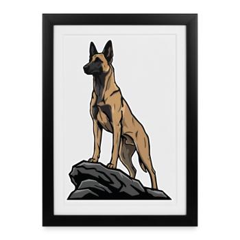 Belgian Shepherd Malinois Dog on Rock Portrait - Framed poster (27 × 37 cm) - black - Front
