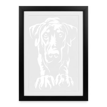 Doberman "Black Edition" - Framed poster (27 × 37 cm) - black - Front