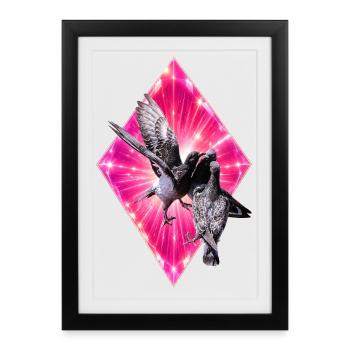 Pigeons sur diamant rose éruptif - Affiche encadrée (27 × 37 cm) - noir - Devant
