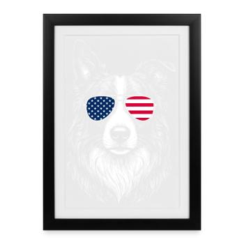 Border Collie USA Sunglasses Patriotic - Framed poster (27 × 37 cm) - black - Front