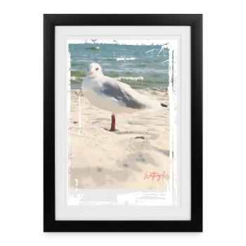 Photo d’oiseau échassier : mer du Nord, mouette, plage, mer Baltique - Affiche encadrée (27 × 37 cm) - noir - Devant