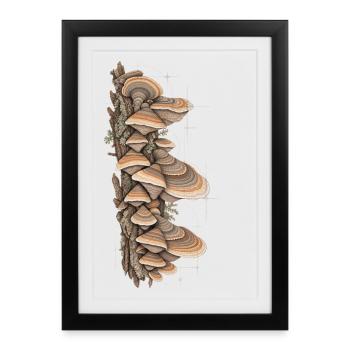 Bracket Study Farbpilz-Tee - Gerahmtes Poster (27 × 37 cm) - Schwarz - Vorne
