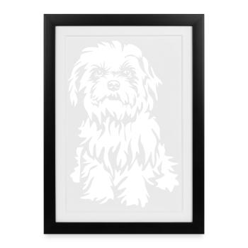Bichon Havanais "Black Edition" - Affiche encadrée (27 × 37 cm) - noir - Devant
