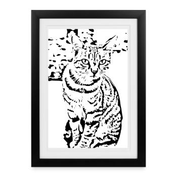 Chat noir et blanc - Affiche encadrée (27 × 37 cm) - noir - Devant