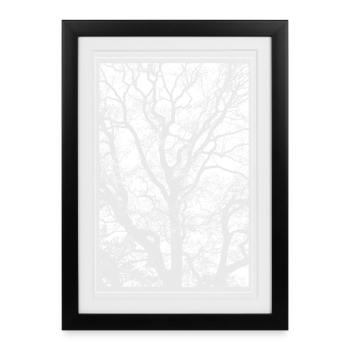 Tree - Framed poster (27 × 37 cm) - black - Front