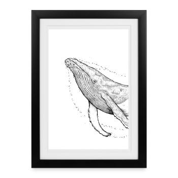 Humpback Whale A - Framed poster (27 × 37 cm) - black - Front