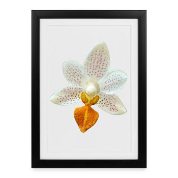 Fleur d’orchidée Phalaenopsis MiniMark Orchidée - Affiche encadrée (27 × 37 cm) - noir - Devant