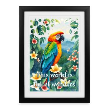 Parrot in the jungle The world is full of wonders - Framed poster (27 × 37 cm) - black - Front