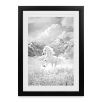 Cheval - Affiche encadrée (27 × 37 cm) - noir - Devant