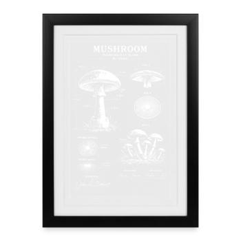 Art botanique de plans champignons - Affiche encadrée (27 × 37 cm) - noir - Devant
