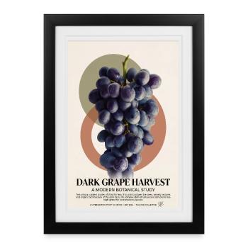 Vendange du raisin noir - Affiche encadrée (27 × 37 cm) - noir - Devant