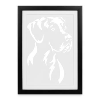 Tête de Grand Danois « Édition Noire » - Affiche encadrée (27 × 37 cm) - noir - Devant