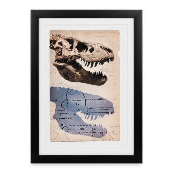 Fossile de dinosaure de crâne vintage T-Rex Tyrannosaurus - Affiche encadrée (27 × 37 cm) - noir - Devant
