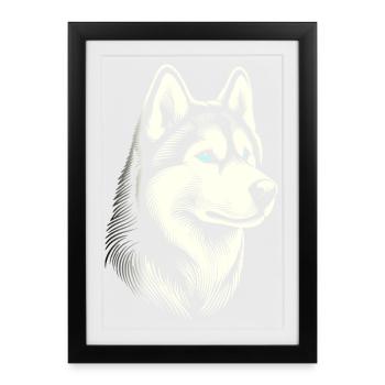 Husky head, black white, dog sled - Framed poster (27 × 37 cm) - black - Front
