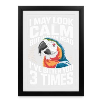 Parrot saying I seem calm but in my - Framed poster (27 × 37 cm) - black - Front