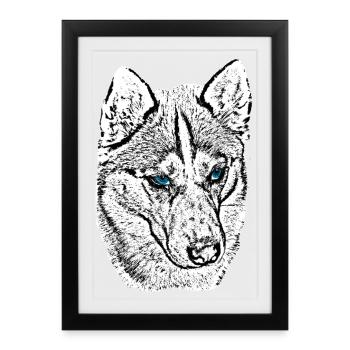 Wolf Head Drawing Blue Eyes - Framed poster (27 × 37 cm) - black - Front