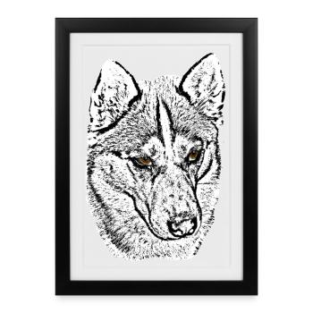 Wolf Head Husky Line Drawing Brown Eyes - Framed poster (27 × 37 cm) - black - Front