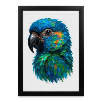 Oiseau Exotique Perroquet Ara Plumage Tropical - Affiche encadrée (27 × 37 cm) - noir - Devant